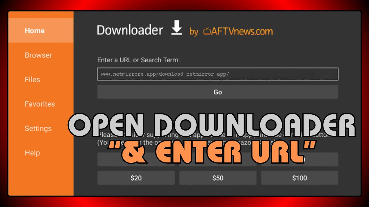 Open Downloader and Enter URL