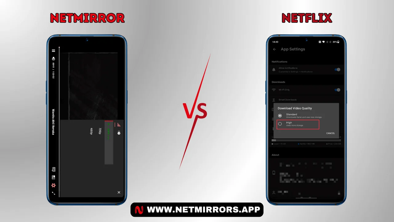 NetMirror vs Netflix: High-Quality Streaming