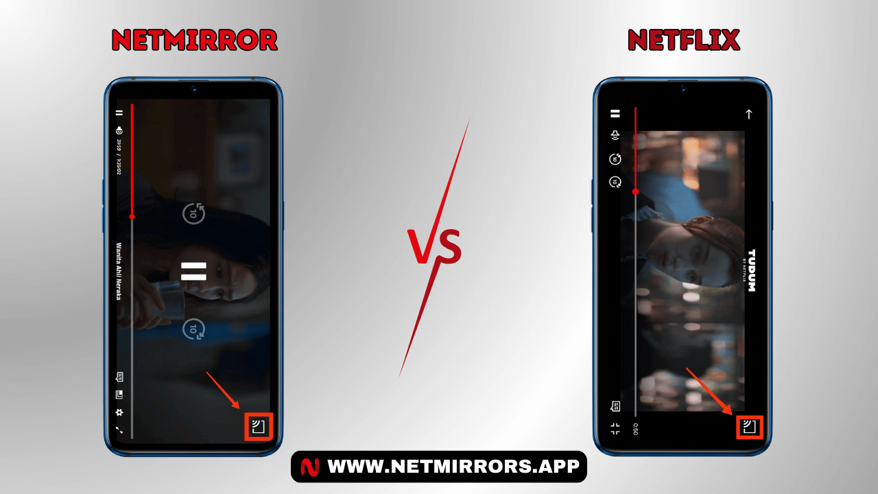 NetMirror vs Netflix: Multi-Device Compatibility