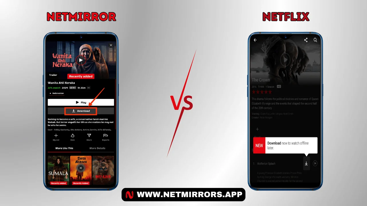 NetMirror vs Netflix: Offline Download Feature