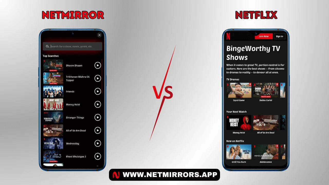 NetMirror vs Netflix: Personalized Recommendations