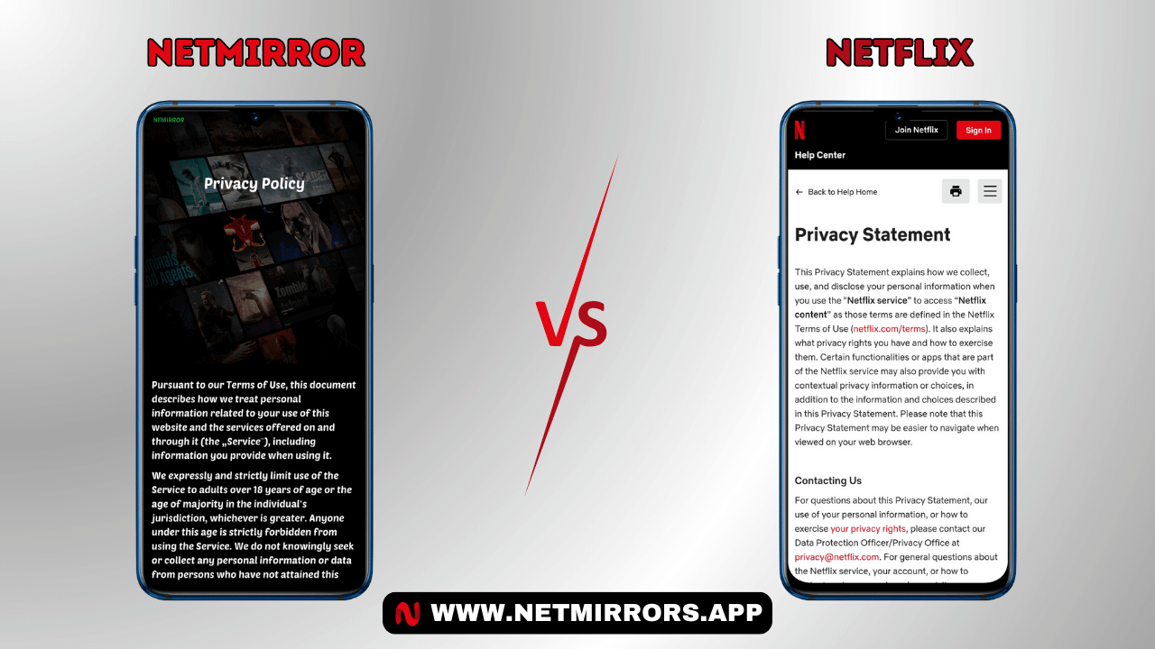 NetMirror vs Netflix: Security & Privacy Measures