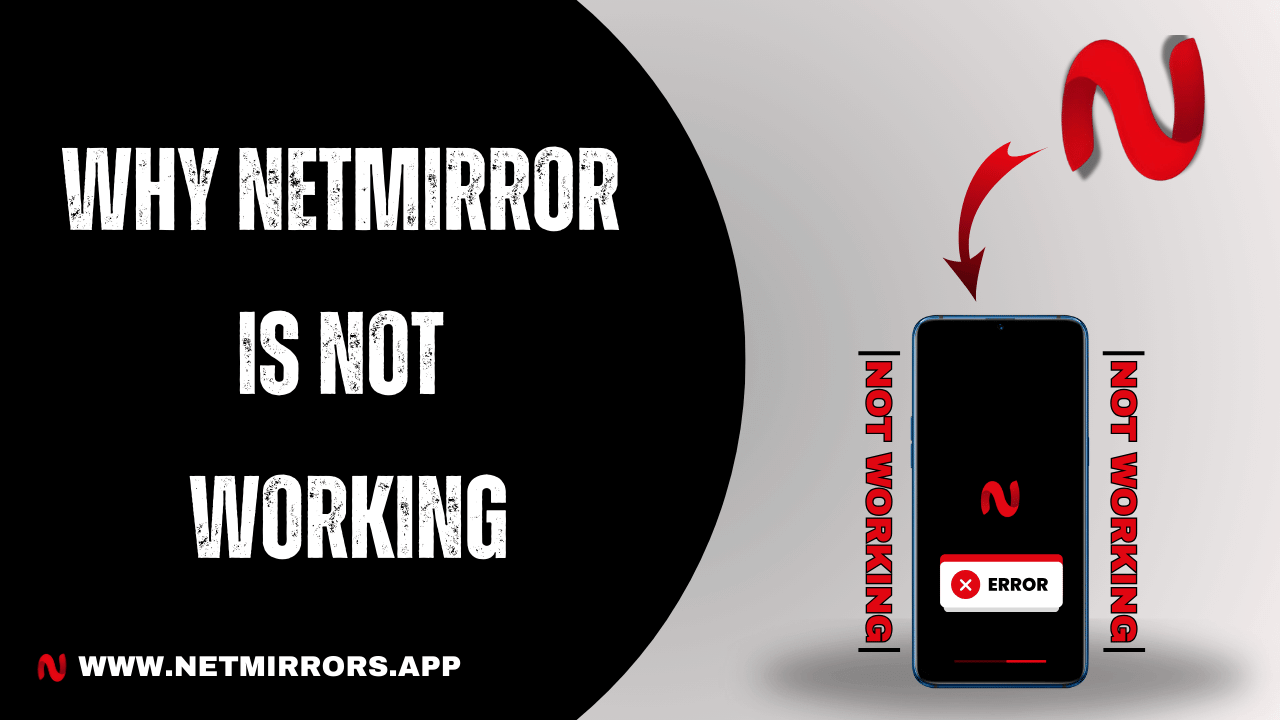 Why NetMirror is Not Working