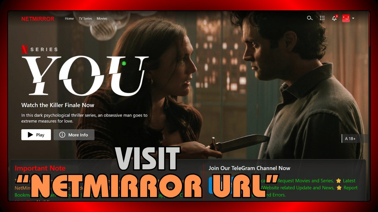 Visit NetMirror URL